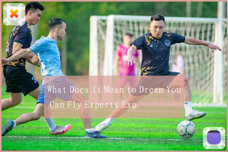 What Does It Mean to Dream You Can Fly Experts Exp