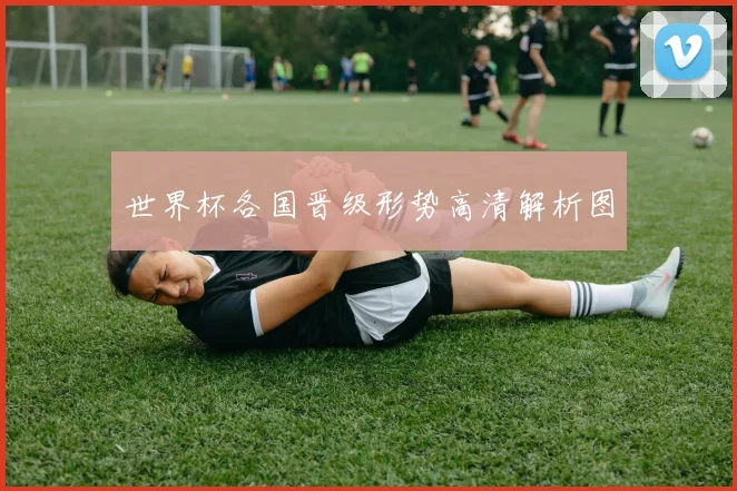 世界杯各国晋级形势高清解析图
