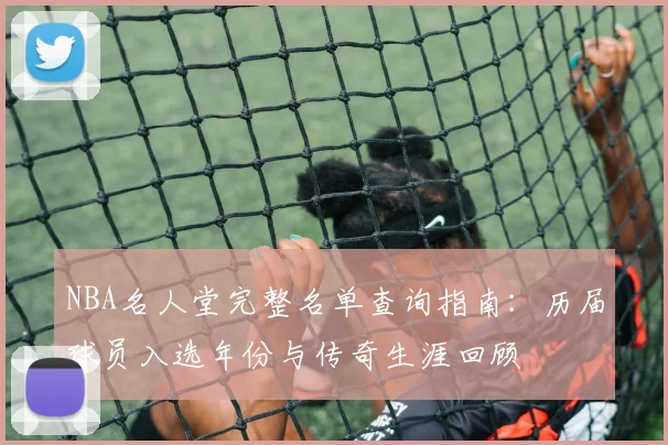 NBA名人堂完整名单查询指南：历届球员入选年份与传奇生涯回顾