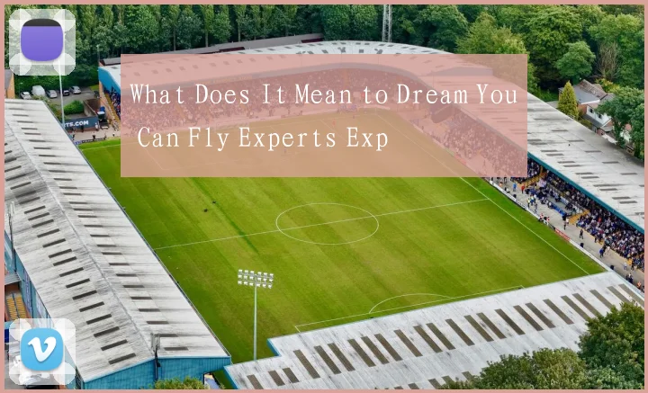 What Does It Mean to Dream You Can Fly Experts Exp